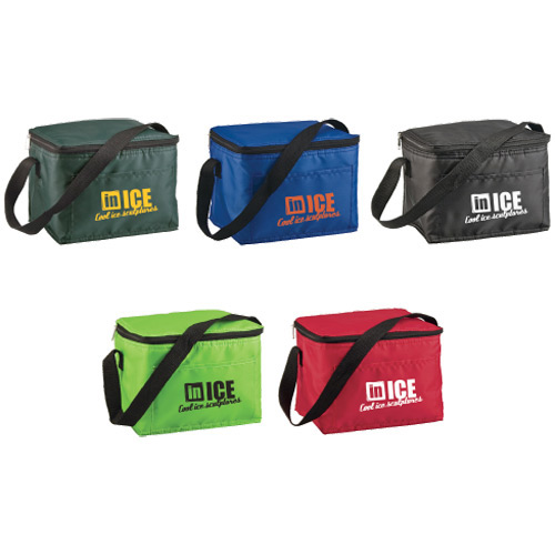 Insulated 6 Pack Lunch Cooler